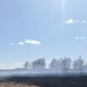 В Омской области поймали первого за сезон поджигателя травы