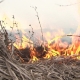 Пожароопасный сезон: подавляющее число пожаров произошло из-за мусора и травы