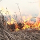 За неделю в Омской области произошло более 100 пожаров