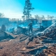 Огонь уничтожил два подворья в одном из сел Омской области