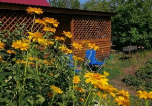 Юрист предупредил омских дачников о новых правилах, рисках и штрафах