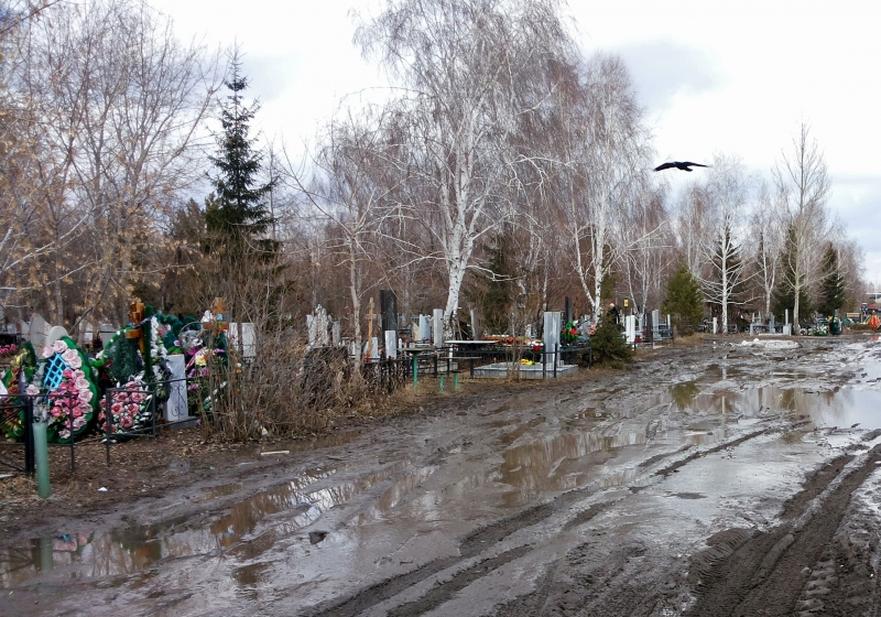 Ново-Южное кладбище. Южное кладбище Омск. Ново-Южное кладбище Омск схема. Кладбище Южная Маймакса.