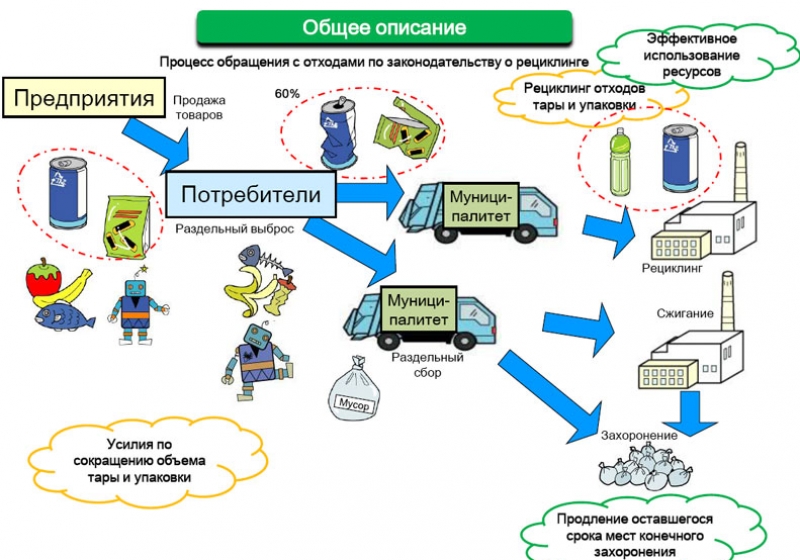 Тер схема обращения с отходами