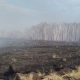 В Омской области потушили три лесных пожара
