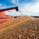 В Омской области в 6 раз увеличился экспорт продуктов переработки зерна