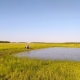 В Омской области мальчик утонул на озере, купаясь на автомобильной камере
