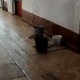 «Вешние воды» не по программе: о протекающих крышах в школах Омска