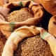 Из Омской области по-прежнему пытаются вывозить зерно без сопроводительных бумаг