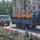 На Соборной площади в Омске высадят больше 2 тыс растений