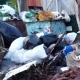 Власти Омской области, решил суд, неправильно рассчитали нормативы накопления отходов