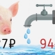 Нацпроект «Чистая вода»: жителям Кормиловки по 94 руб. за куб, свиньям «Рускома» Латарии — по 27. Почему?