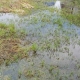 Воду в Осташково начали откачивать