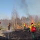В Омском районе ликвидирован лесной пожар