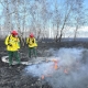 Лесные пожары в Омской области: слаженные действия спасателей предотвратили трагедию