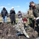 Под Омском при участии губернатора высадили геоглиф из 9 тысяч саженцев сосны