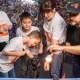Омские школьники бесплатно учатся анимации