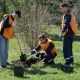 Парке юннатов Омска появилась новая аллея