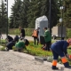 В Омске ко Дню Победы высадят 50 000 цветов
