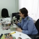 25 тонн семян льна не пустили в Казахстан из-за фальшивого сертификата