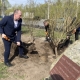 В Октябрьском округе высадили больше тысячи деревьев