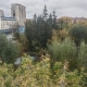 «Проданный» недостроенный досуговый центр в Омске повторно выставили на продажу