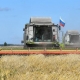 В числе пятерки основных покупателей омского зерна оказались Израиль и Нигерия