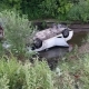 В Омской области в двух ДТП с участием «Тойот» пострадало семь человек