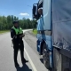 Омская Госавтоинспекция за день пресекла 100 нарушений ПДД