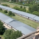 Россельхознадзор не обнаружил капрового жука в Омской области