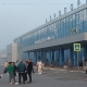 Над Омском в самолет врезалась стая птиц