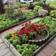 Стали известны самые красивые дворы Центрального округа Омска