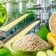 Омским предпринимателем предлагают производить высокотехнологичную пищевую клетчатку