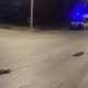 В Солнечном поселке Омска двое друзей ночью на Yamaha врезались в опору ЛЭП и погибли