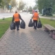В Омске после Дня города вывезли более 17 тонн мусора
