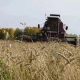 В Омской области из-за жары ввели режим ЧС