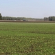 В крупной омской фирме по выращиванию зерновых культур сменился директор