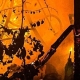 В Омске в Амурском поселке горел пункт Wildberries