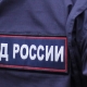 Полиция обещает наказать омичку, укравшую цветы в сквере «Сердце Омска»