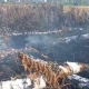 В Омской области потушили возникший из-за окурка лесной пожар