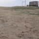 В двух омских природных заказниках незаконно использовали опасные пестициды