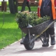 В Омской области планируют продлить запрет на работу мигрантов по патентам