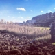 В Тарском районе усиливают защиту от природных пожаров