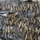 В Омске, на берегу Омки, открылся рыбоперерабатывающий завод