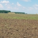 В Омской области оптимизировали доступ аграриев к сельхозземлям