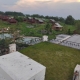 Омскую базу отдыха с павлинами снова выставили на продажу