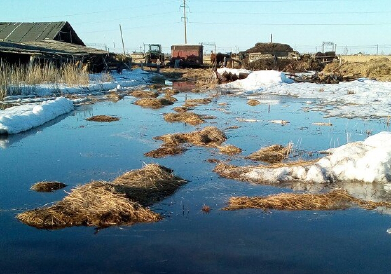 Погода в мангуте омская область. Омская область Называевский район село Мангут. Мангут Омской области Называевского. Озеро Мангут Омская область. Паводок.