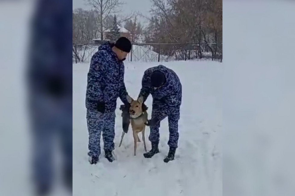 Российскую школьницу изнасиловали в пятизвездочном турецком отеле