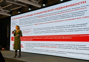 Агентство развития и инвестиций и Омская гильдия риэлторов обсудят создание единой базы данных коммерческой недвижимости