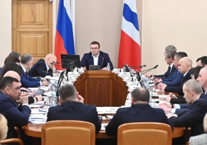 В Омске в следующем году запустят завод по переработке кедрового ореха