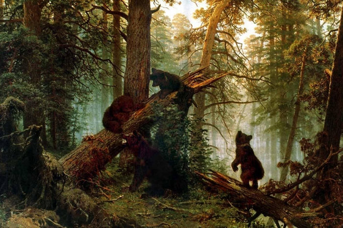 фото их открытых интренет-источников